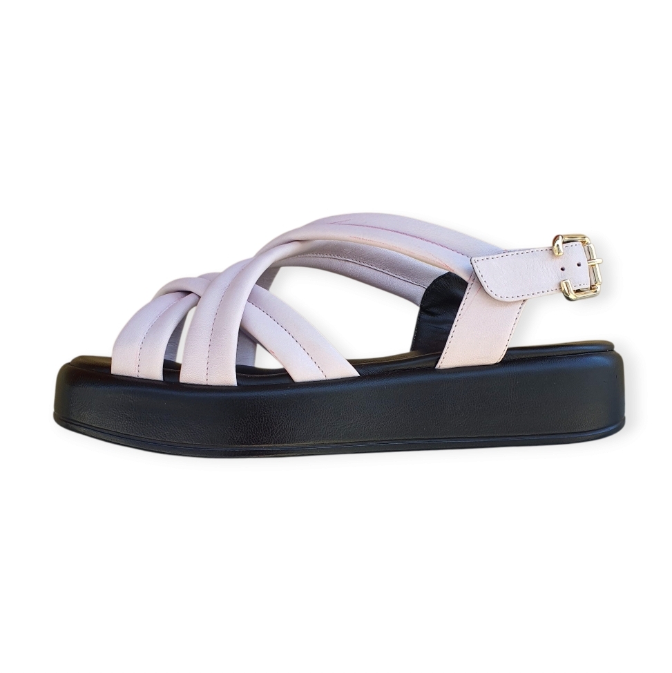 2031 Savana provenza